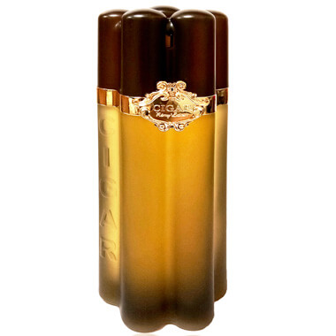 Lomani Cigar Perfume